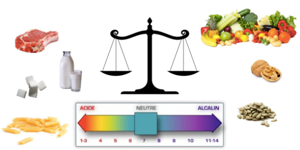 Equilibre-acido-basique-synergie-alimentaire